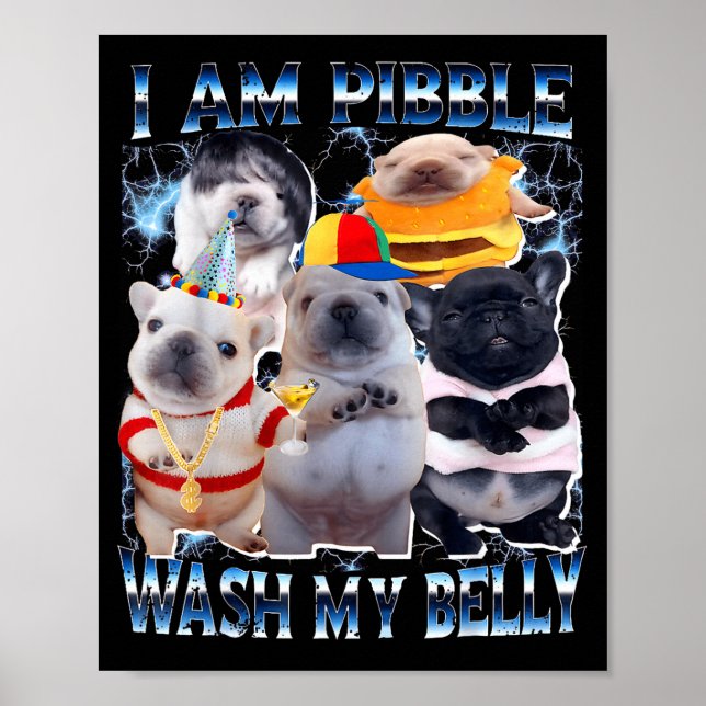I Am Bble Wash My Belly Bble Meme Funny Dog Brainr Poster (Front)