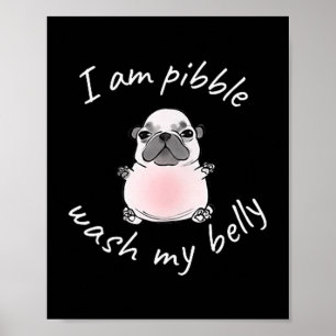 I Am Bble Wash My Belly Bble Meme Funny Dog Brainr Poster