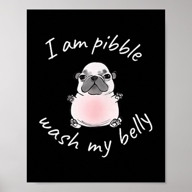 I Am Bble Wash My Belly Bble Meme Funny Dog Brainr Poster (Front)