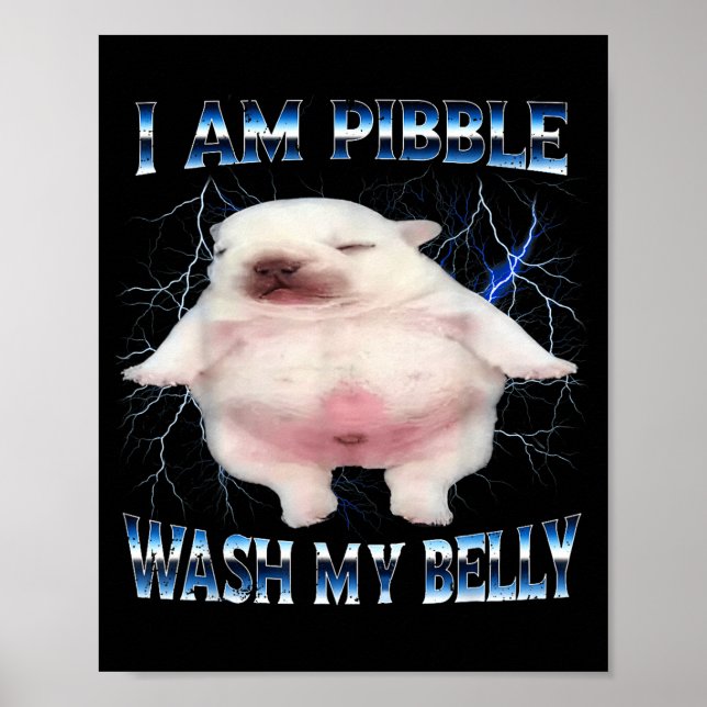 I Am Bble Wash My Belly Funny Dog Clean My Belly M Poster (Front)