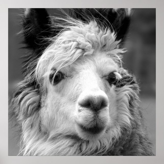 I am beautiful poster (Front)