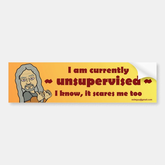 I am currently unsupervised... bumper sticker (Front)