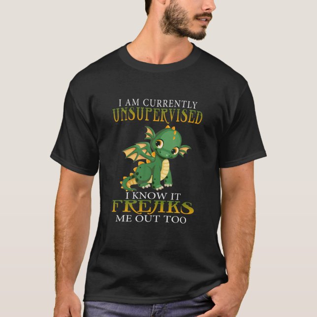 I Am Currently Unsupervised I Know Funny Dragons G T-Shirt (Front)