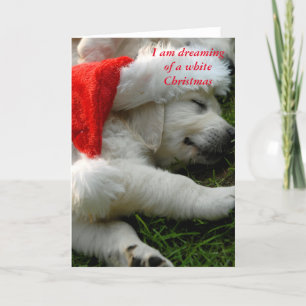 I am dreaming of a white x-mas holiday card