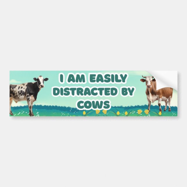 I Am Easily Distracted by Cows, Funny cute Bumper Sticker (Front)