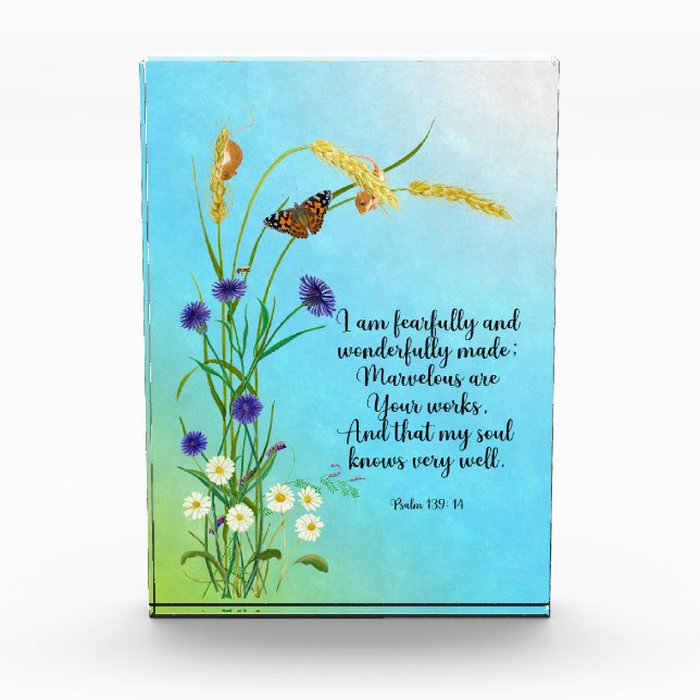 I am fearfully and wonderfully made photo block (Front)