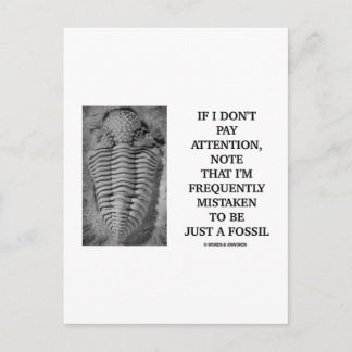 I Am Frequently Mistaken Just A Fossil (Trilobite) Postcard