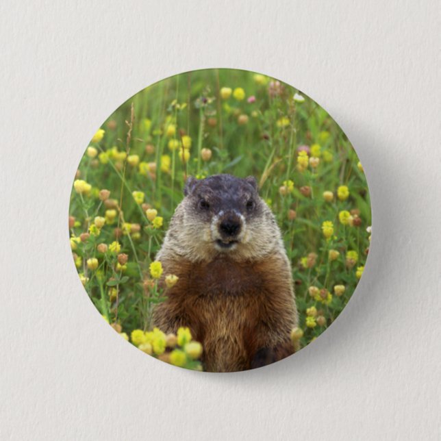 I am Groundhog 6 Cm Round Badge (Front)