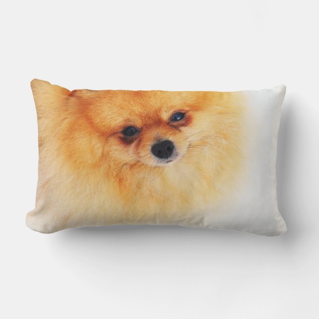 I am Here! Lumbar Cushion (Front)