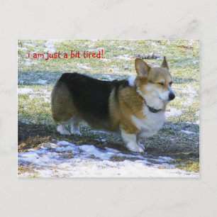 I AM JUST A BIT TIRED!, HOLIDAY POSTCARD