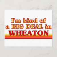 I am kind of a BIG DEAL in Wheaton