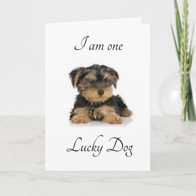 I AM "MARRIED TO YOU" LUCKY DO I AM CARD (Front)