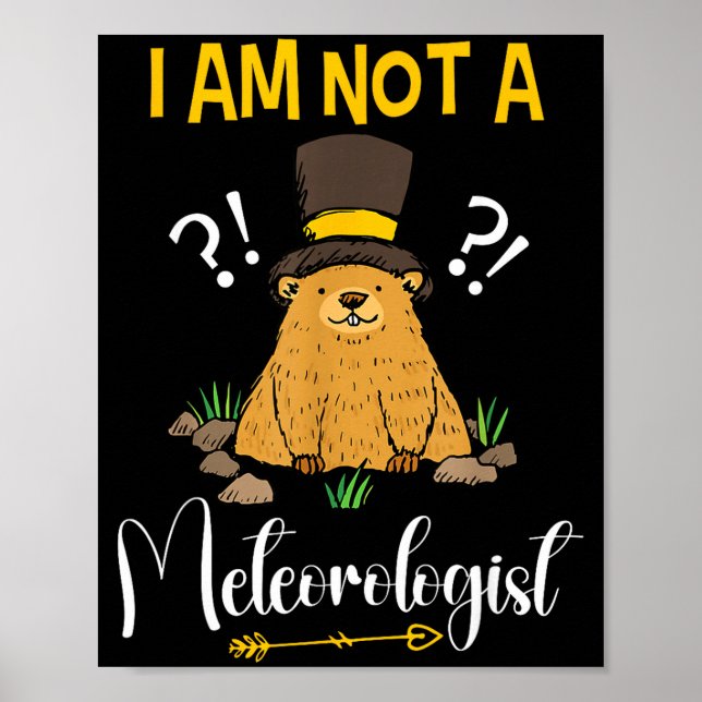 I Am Not A Meteorologist Funny Groundhog Day  Poster (Front)