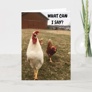I AM NOT CHICKEN TO SAY YOU LOOK AMAZING CARD