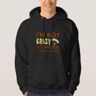 I Am Not Crazy Just Different Skydiving Gift Hoodie