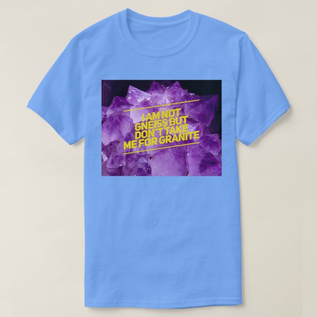 I am not nice T-Shirt (Design Front)