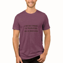 I Am Not Posing Tolerating You In Grievance Tee