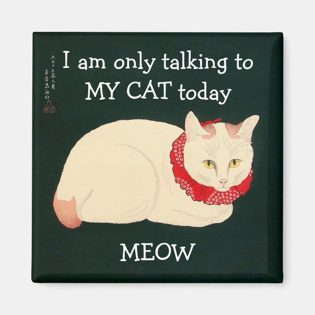 I am only talking to MY CAT today Magnet (Front)