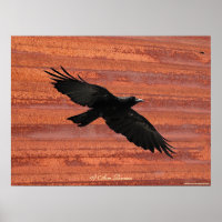 I AM RAVEN III Flying Black Raven Art Poster