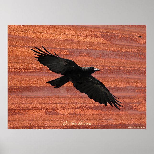 I AM RAVEN III Flying Black Raven Art Poster (Front)