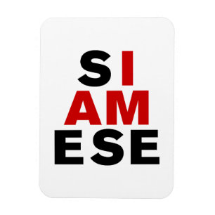 I AM SIAMESE MAGNET