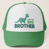 I am the big brother cartoon dinosaur for boys