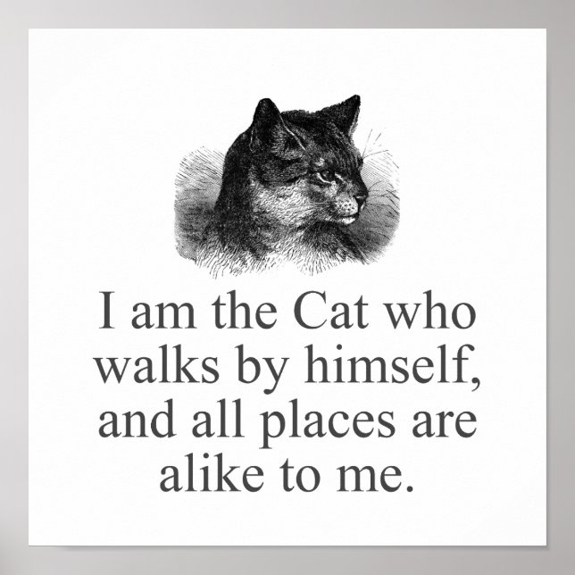 I Am The Cat Who Walks By Himself   Poster (Front)