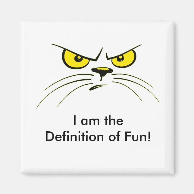 I am the Definition of Fun! / Cat Magnet (Front)