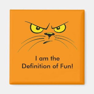 I am the Definition of Fun! / Cat Magnet
