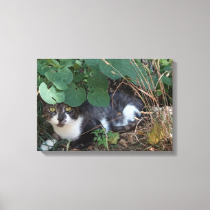 I am the invisible cat canvas print