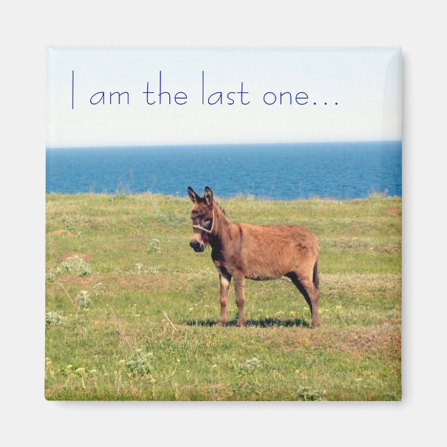 I am the last one... Magnet (Front)