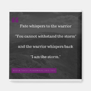 I am the Storm magnet