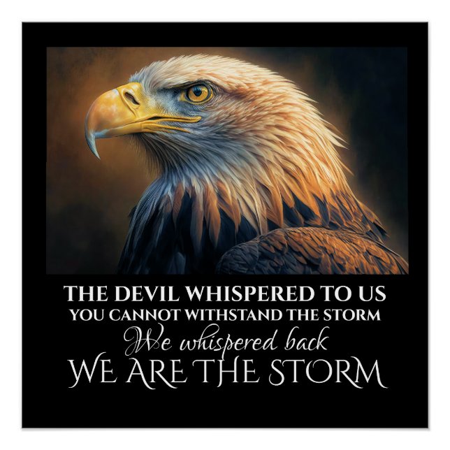 I AM THE STORM POSTER (Front)