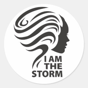 I am the Storm stickers