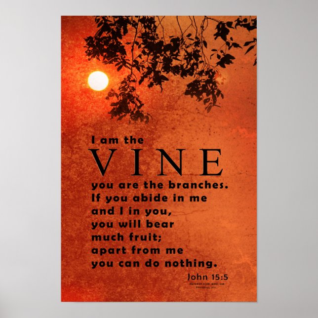 I am the VINE (John 15:5) Poster (Front)