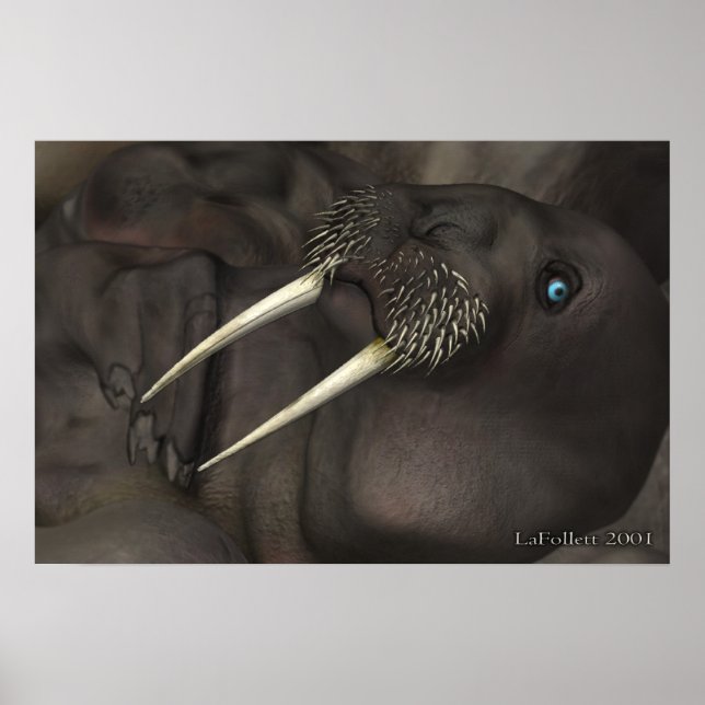 I Am The Walrus Poster (Front)