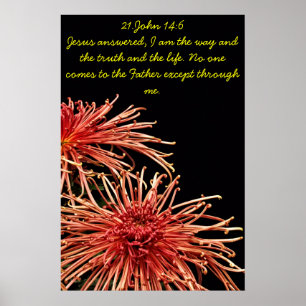 I am the way and the truth poster