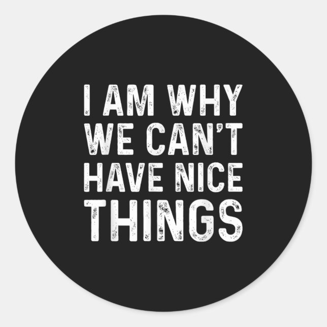 I Am Why We Can't Have Nice Things  Classic Round Sticker (Front)