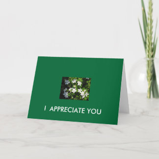 I  APPRECIATE YOU CARD