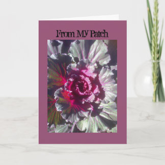 I Art and Designs, Cabbage Flower Fall Cards