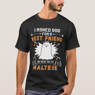 I Asked God For A Best Friend He Sent Me My Maltes T-Shirt
