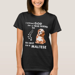I Asked God For True Friend He Sent Me Maltese T-Shirt
