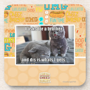 I asks for a brother coaster