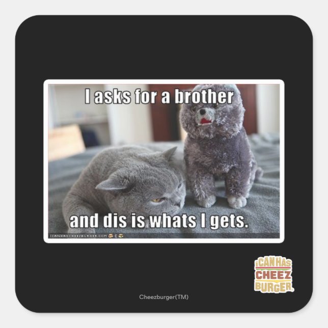 I asks for a brother square sticker (Front)