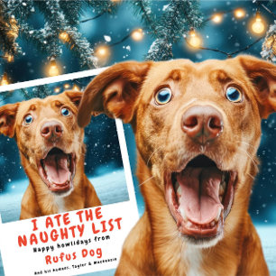 I Ate The Naughty List Dog Christmas Photo Holiday Card