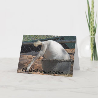 I baked you a cake... Birthday Card