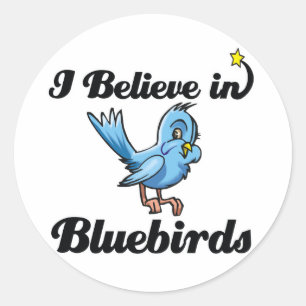 i believe in bluebirds classic round sticker