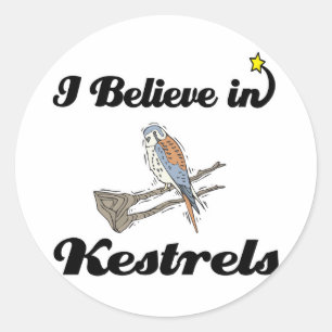 i believe in kestrels classic round sticker