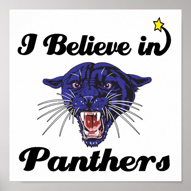 i believe in panthers poster (Front)