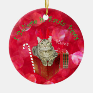 I Believe in Santa Paws Ceramic Tree Decoration